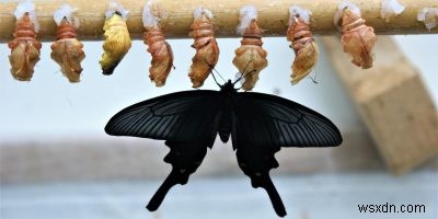 5 Ways to Reveal a File Path on Mac