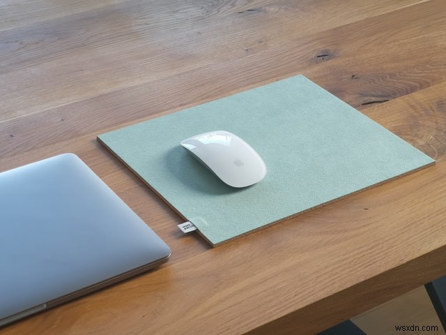 Mouse Not Working in macOS? Use these Fixes