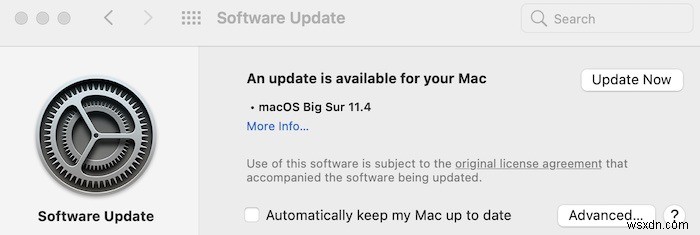 Mouse Not Working in macOS? Use these Fixes