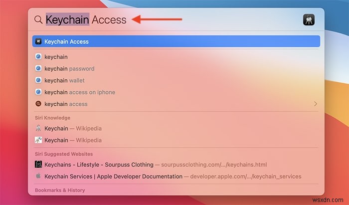 How to View Passwords Saved in iCloud Keychain on macOS, iPadOS, and iOS