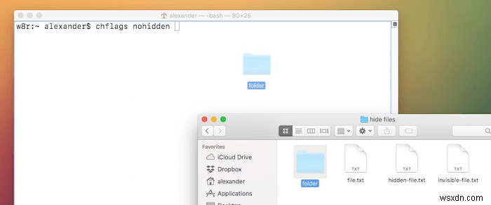 How to Hide Files, Folders and Desktop Icons on Mac