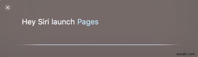 Most Surprising Things You Can Do with Siri on Mac