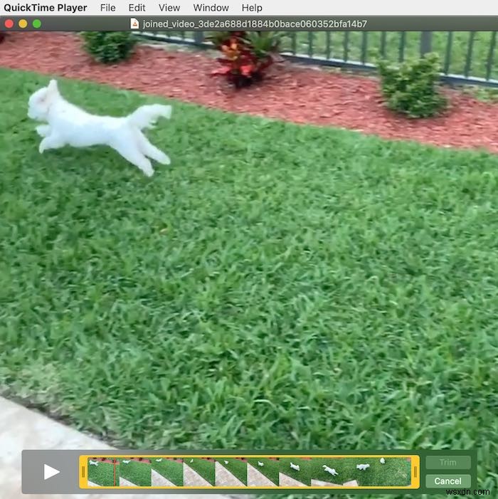 How to Edit a Movie with QuickTime on the Mac
