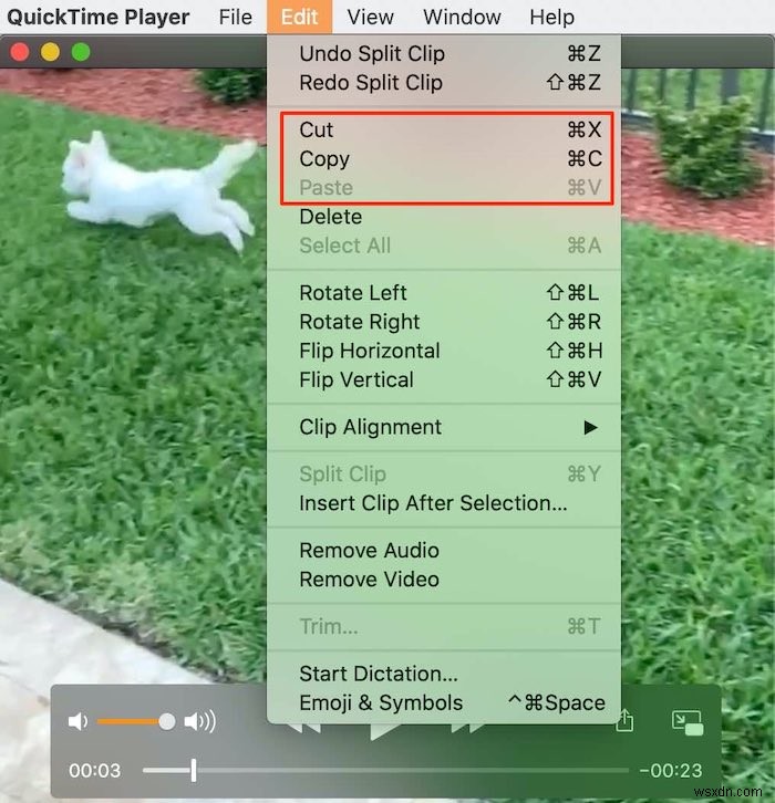 How to Edit a Movie with QuickTime on the Mac