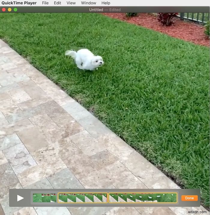 How to Edit a Movie with QuickTime on the Mac