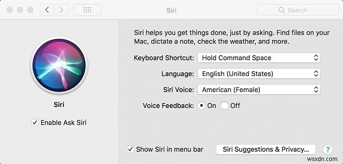 How to Use “Hey Siri” on Older Macs