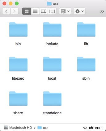 Understanding Your Mac’s System Folders