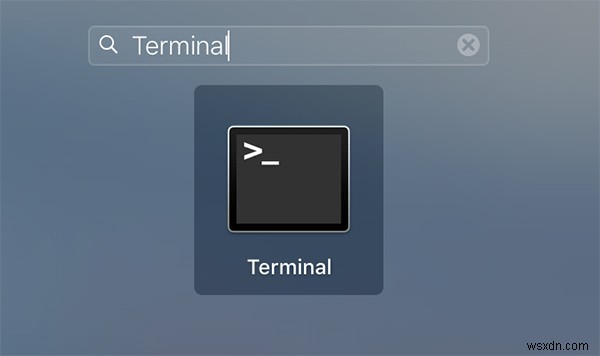 How to Flush the DNS Cache on Your Mac