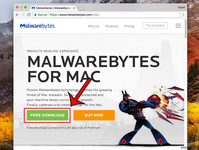 How to Detect and Remove Malware from Your Mac