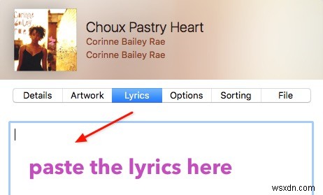 Search, Save, and Display iTunes Song Lyrics with Singer Song Reader