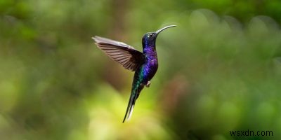 LXQt Review: A Lightweight, Extensible and Attractive Desktop Environment