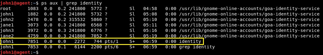 How Setuid Allows Users to Run Files with Escalated Privileges
