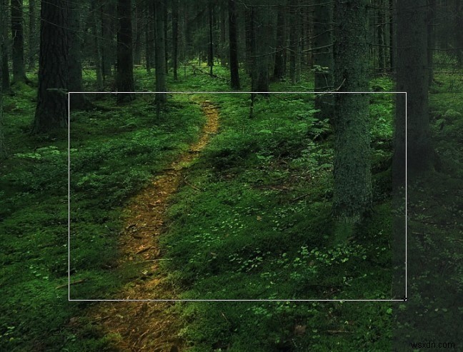 8 Ways to Take a Screenshot in Linux