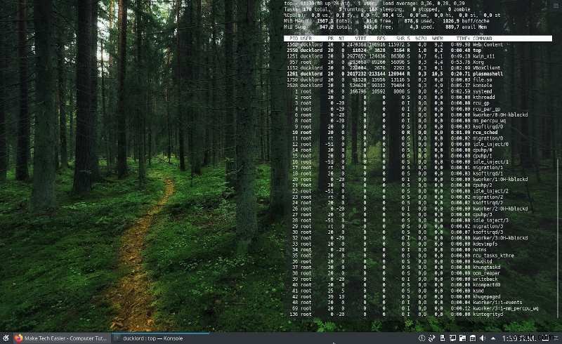 How to Set the Terminal as a Transparent Wallpaper in Kubuntu