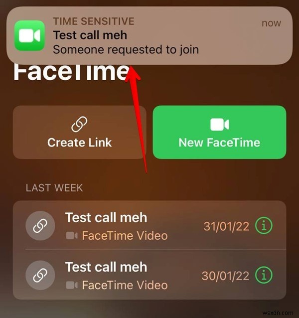 21 of the Best FaceTime Tips and Tricks to Use it Like a Pro