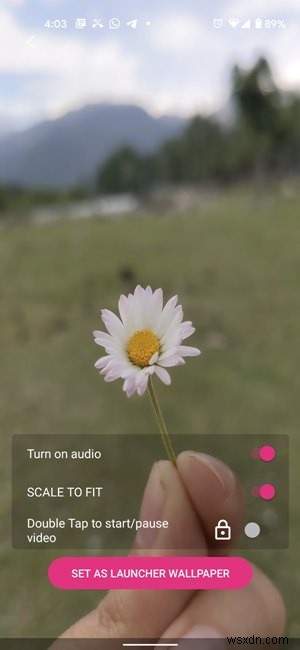 How to Make Live and Video Wallpapers on Android