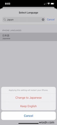 How to Change the Language in a Single iPhone App