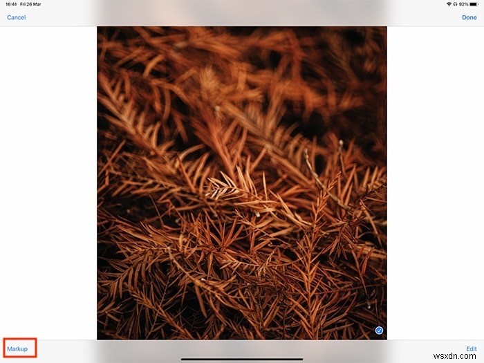How to Use Markup on a Document on iPad Pro