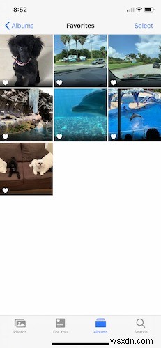How to Organize Photos on Your iPhone