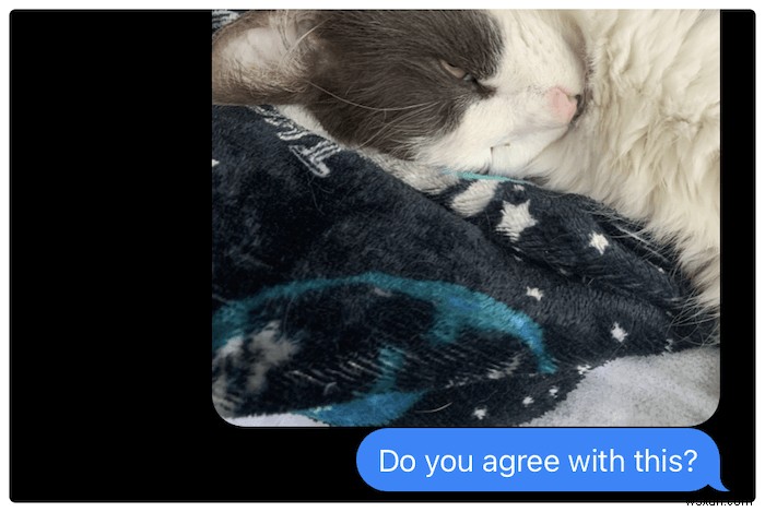 How to Change Your iMessage Bubble Color in iOS