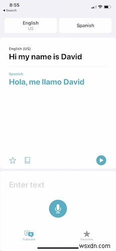 How to Use the Apple Translate App in iOS 14