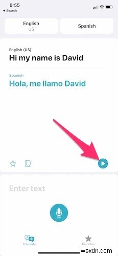 How to Use the Apple Translate App in iOS 14