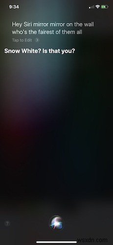 Here’s a Bunch of Funny Things to Ask Siri