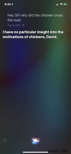 Here’s a Bunch of Funny Things to Ask Siri