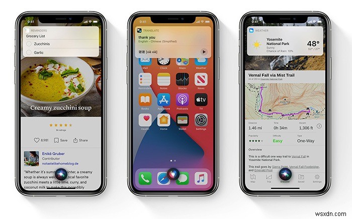 iOS 14: Everything You Need to Know