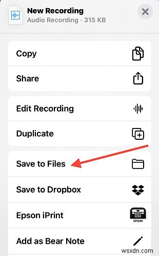 How to Transfer Voice Notes from iPhone