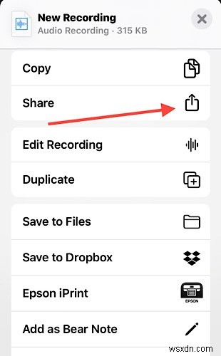 How to Transfer Voice Notes from iPhone