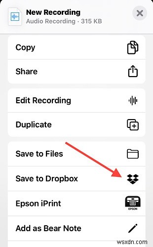 How to Transfer Voice Notes from iPhone