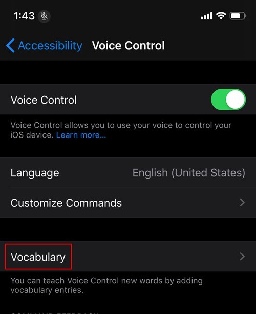 How to Use Voice Control in iOS 13