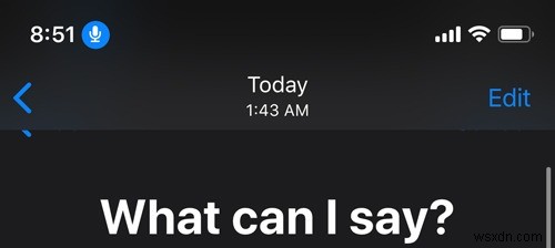How to Use Voice Control in iOS 13