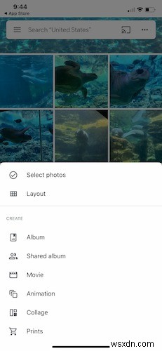 Beginners Guide to Google Photos