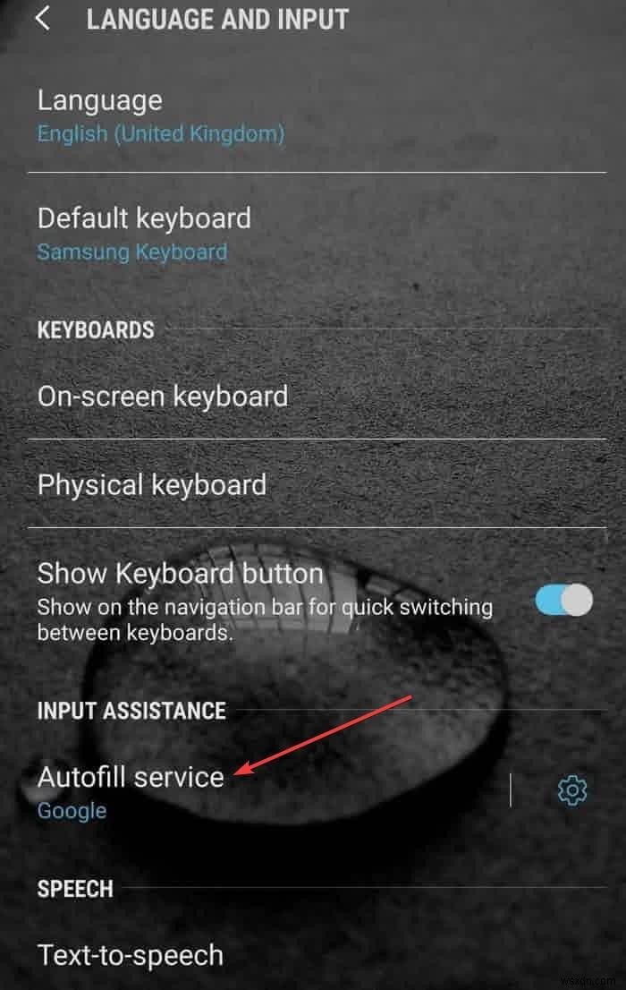 How to Autofill Password in Android
