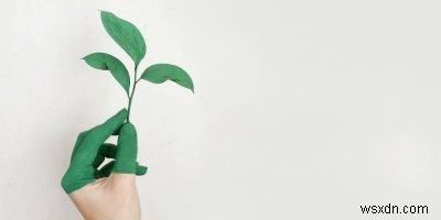 4 Simple Apps to Help You Become More Environmentally Friendly