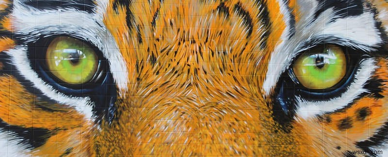 Does a Phone’s Multiple-Lenses Camera Take Better Photos?