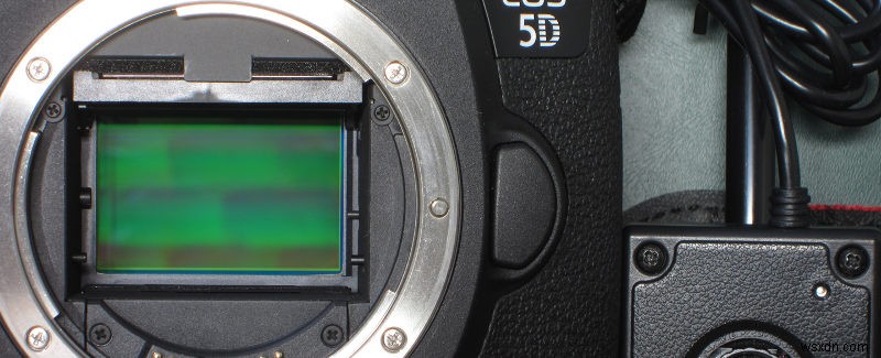 Does a Phone’s Multiple-Lenses Camera Take Better Photos?