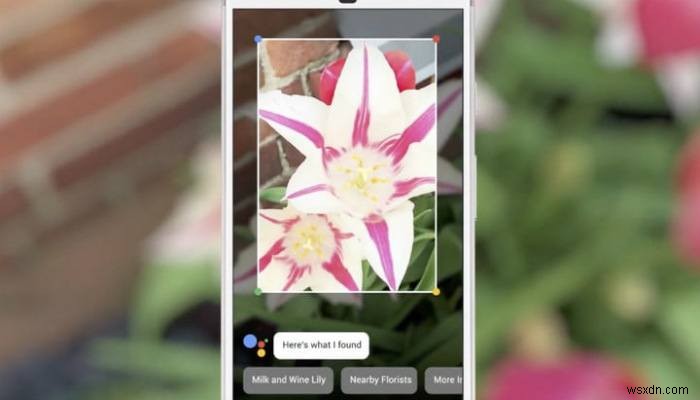 How to Get Google Lens on Any Android Device or iPhone