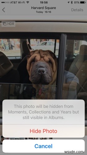 Master the iOS Photos App with These Hidden Gems