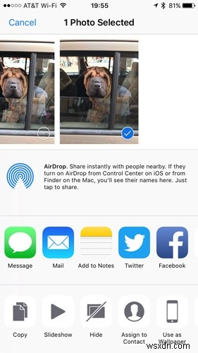 Master the iOS Photos App with These Hidden Gems