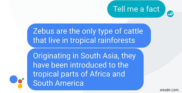 New to Google Allo? Here’s a List of Things You Can Ask Google Allo
