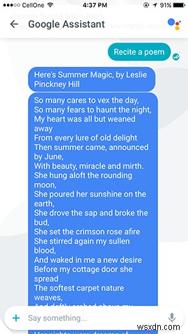 New to Google Allo? Here’s a List of Things You Can Ask Google Allo