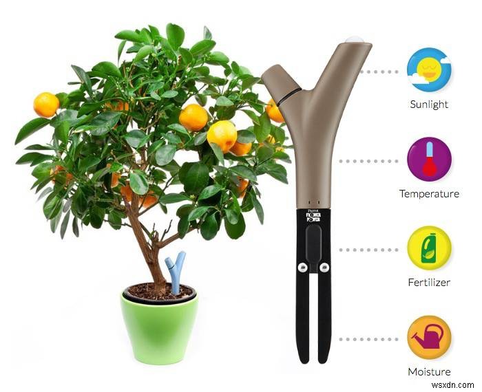 Gro for Smart Gardening: Nature Meets Smart Tech [iOS]