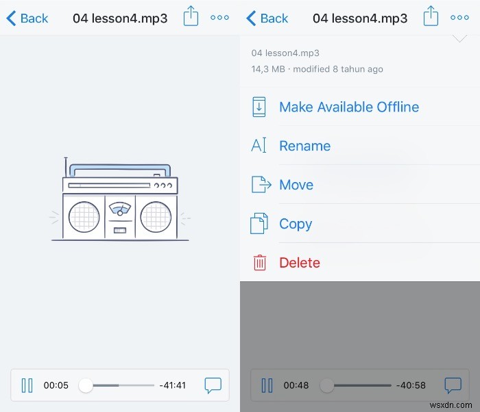 Various Ways to Play Audiobooks on iOS Devices