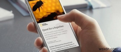 Why Do Some Websites Take Longer to Load on Mobile Devices?