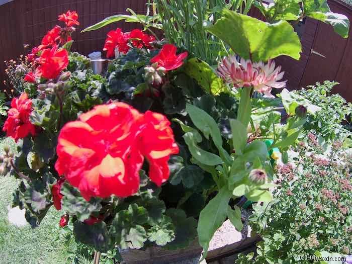 AKASO Brave 6 Plus Action Camera: Capture the Excitement