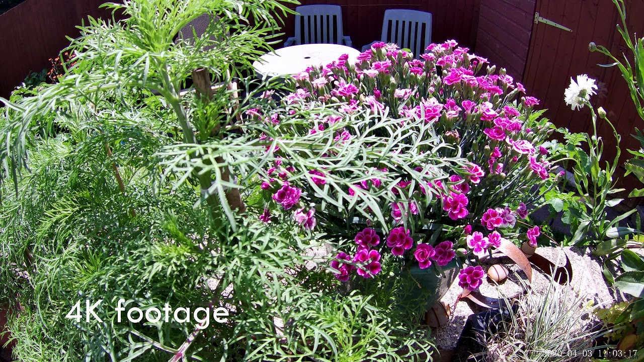 AKASO Brave 6 Plus Action Camera: Capture the Excitement