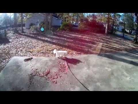 Bopower 4K Action Camera – Review and Giveaway